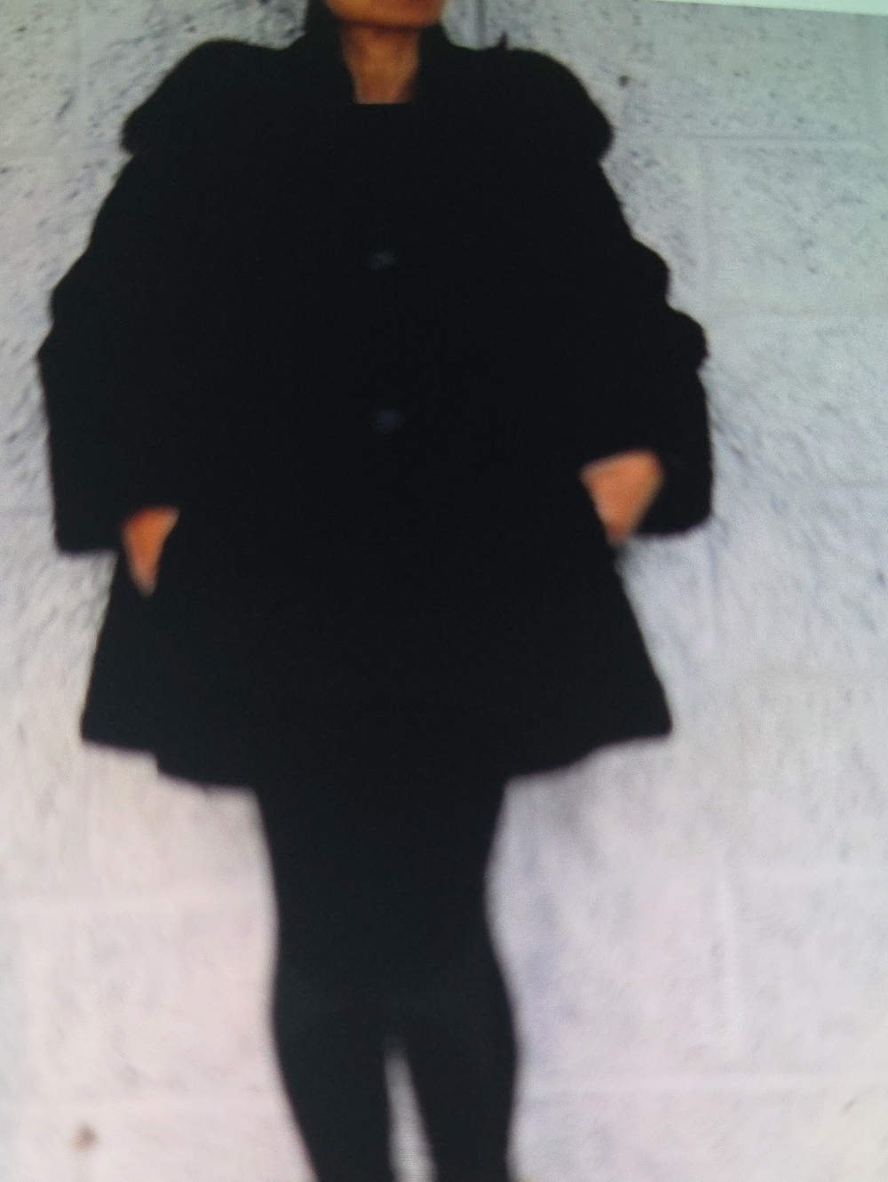 Fur Persian Lamb With Mink Collar